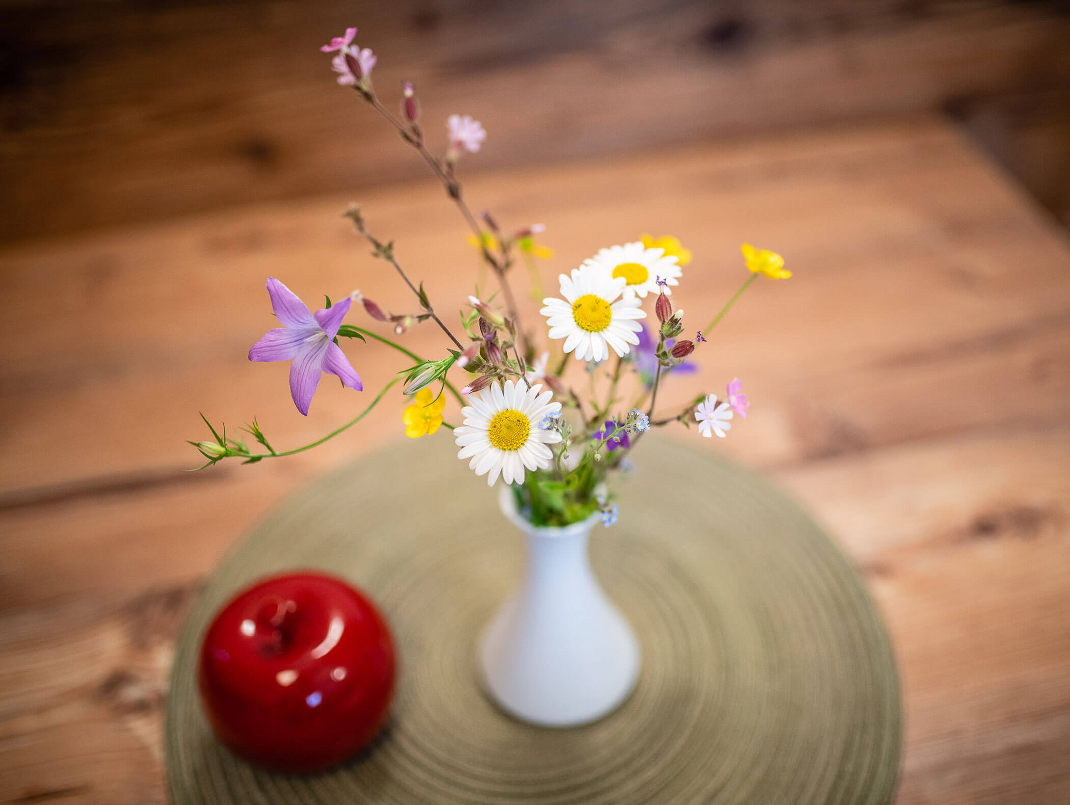 Apartment Scheate - Wohnraum Detail